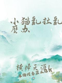 小猫乱拉乱尿怎么办