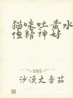 猫咪吐黄水猫粮但精神好