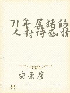 71年属猪的男人对待感情