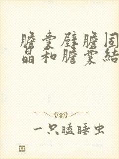 胆囊壁胆固醇结晶和胆囊结石