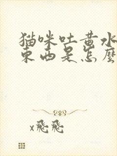 猫咪吐黄水不吃东西是怎么回事