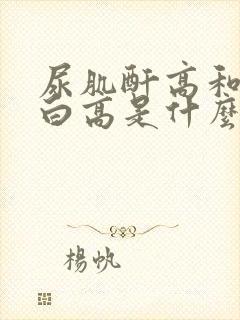 尿肌酐高和尿蛋白高是什么原因造成的