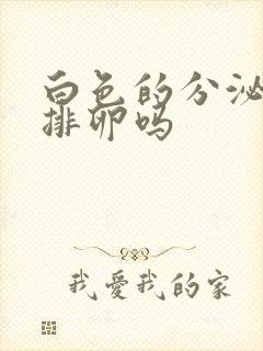 白色的分泌物是排卵吗