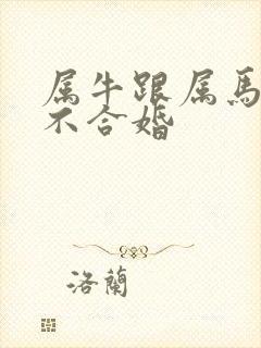 属牛跟属马的合不合婚