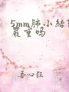 5mm肺小结节严重吗