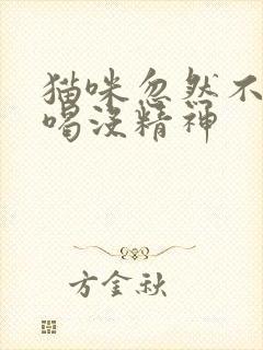 猫咪忽然不吃不喝没精神