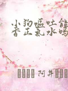 小狗呕吐能喝藿香正气水吗