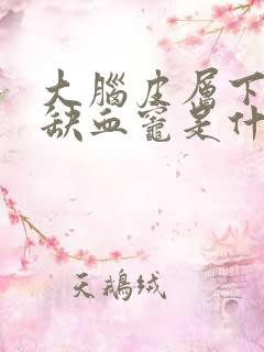 大脑皮层下散在缺血灶是什么意思