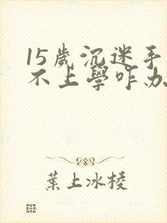 15岁沉迷手机不上学咋办