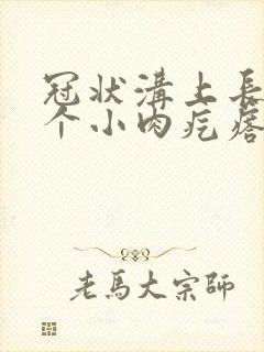 冠状沟上长了一个小肉疙瘩