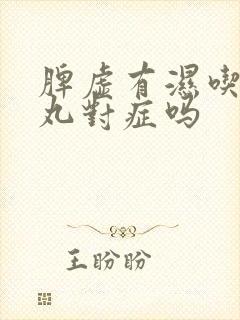 脾虚有湿吃健脾丸对症吗