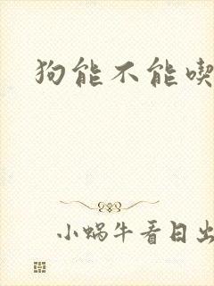 狗能不能吃鸭肉