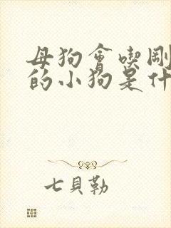 母狗会吃刚出生的小狗是什么原因