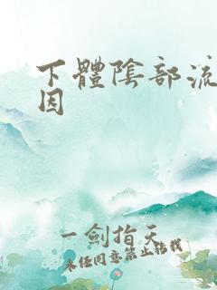 下体阴部流脓原因