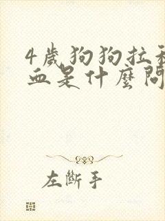 4岁狗狗拉稀拉血是什么问题