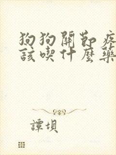 狗狗关节疼,应该吃什么药