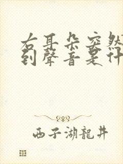 右耳朵突然听不到声音是什么原因