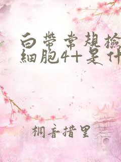 白带常规检查白细胞4+是什么意思