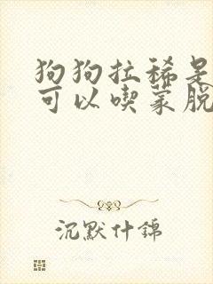 狗狗拉稀是不是可以吃蒙脱石散