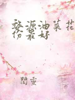 婺源油菜花几月份最好