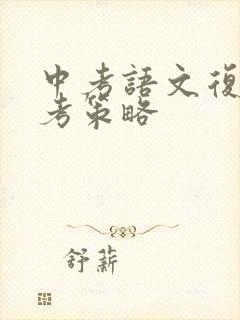 中考语文复习备考策略