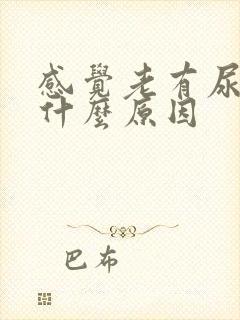 感觉老有尿意是什么原因