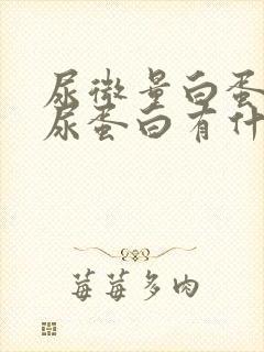 尿微量白蛋白与尿蛋白有什么区别