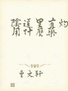 阴道里有灼热感用什么药