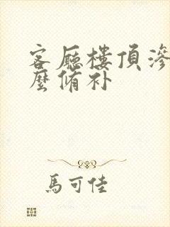 客厅楼顶渗水怎么修补