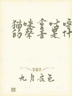 猫咪会咕噜咕噜的声音是什么意思