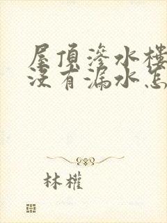 屋顶渗水楼上却没有漏水怎么回事