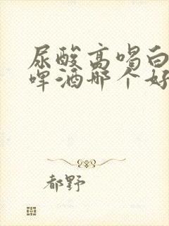 尿酸高喝白酒和啤酒哪个好