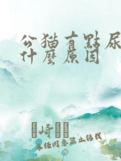 公猫有点尿血是什么原因