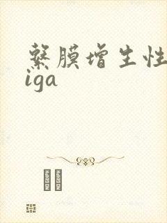 系膜增生性肾病iga