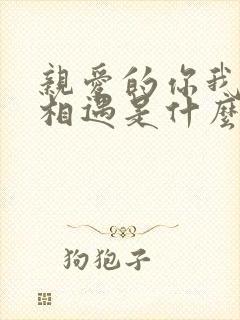 亲爱的你我和你相遇是什么歌