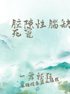 腔隙性脑缺血梗死灶