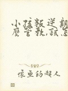 小孩叛逆期该怎么管教,该怎么办?