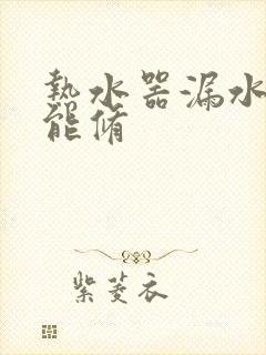 热水器漏水能不能修