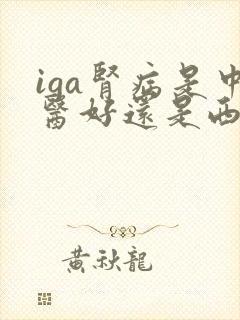 iga肾病是中医好还是西医好