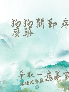 狗狗关节疼吃什么药