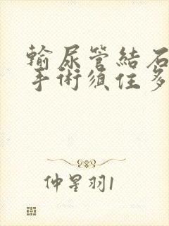 输尿管结石粉碎手术须住多少天院