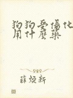 狗狗受伤化脓了用什么药