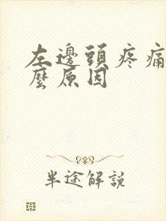 左边头疼痛是什么原因