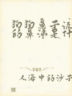 狗狗鼻子流黄色的鼻涕是什么原因