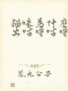 猫咪为什么会发出咕噜咕噜的声音