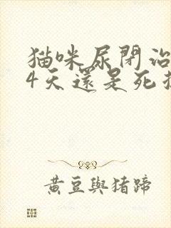 猫咪尿闭治疗了4天还是死掉了