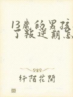 13岁的男孩见了叛逆期怎么教