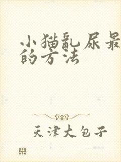 小猫乱尿最有效的方法