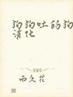 狗狗吐的狗粮没消化