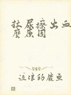 拉尿擦出血是什么原因